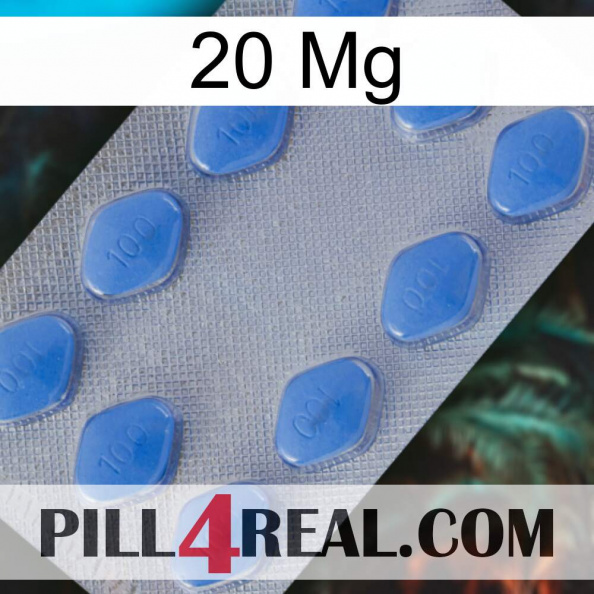 20 Mg 21.jpg